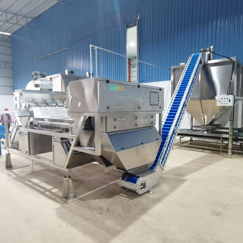 Intelligent Automatic Cashew Shell-Kernel Separation Sorter With Single-Deck Belt