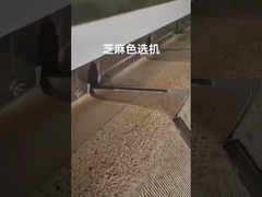 فارز لون السمسم