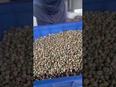 فارز زاحف للبازلاء