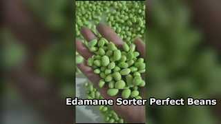 180 فارز ألوان Edamame من النوع الزاحف - سعة عالية وكسر منخفض.
