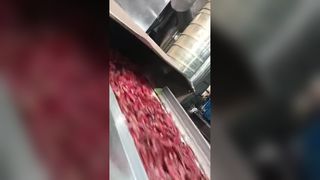 اثنين من فارزات ألوان الفلفل الحار