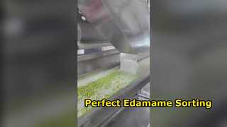 120 فارز ألوان Edamame من النوع الزاحف