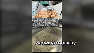 ماكينة فرز ألوان الأرز ذات 32 قناة لمطاحن الأرز الصغيرة والمتوسطة.